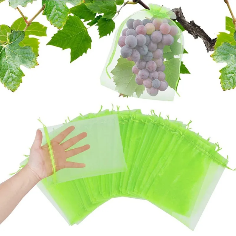 Mesh Net Bag - ถุงตาข่ายป้องกันผลไม้ 50 ชิ้น ขนาด 20x30 ซม.