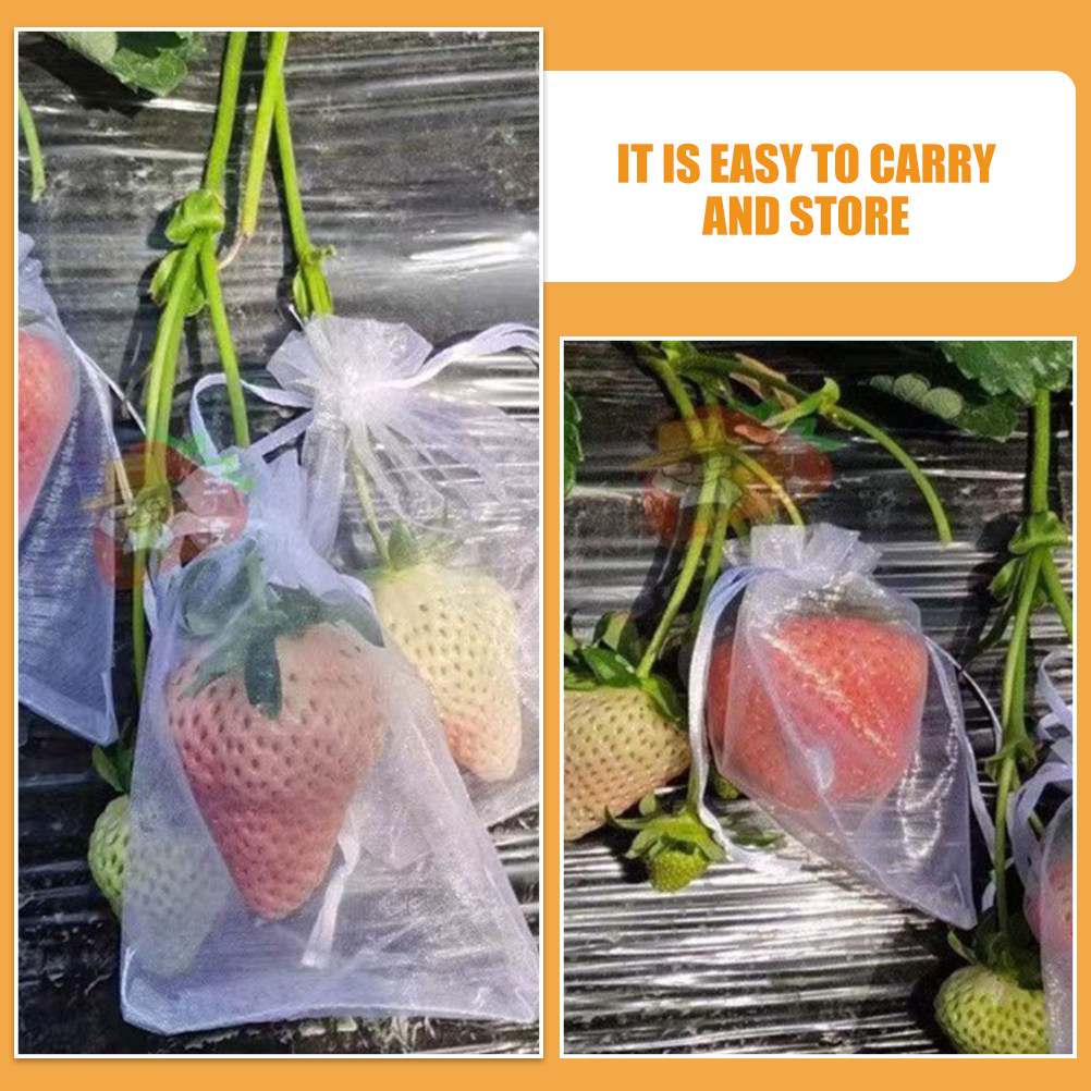 ถุงตาข่ายป้องกันผลไม้ 50 ชิ้น  - Mesh Net Bag บทวิจารณ์และราคา