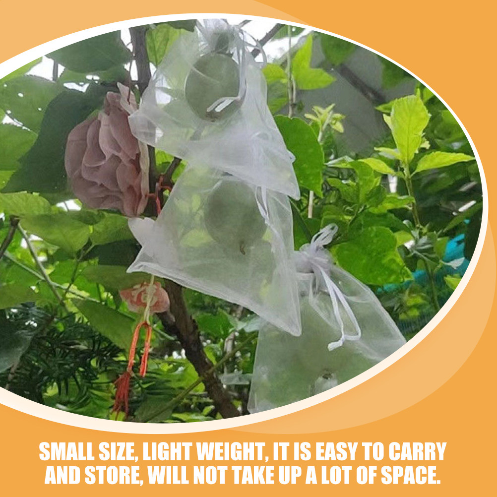 ถุงตาข่ายป้องกันผลไม้ 50 ชิ้น  - Mesh Net Bag บทวิจารณ์และราคา